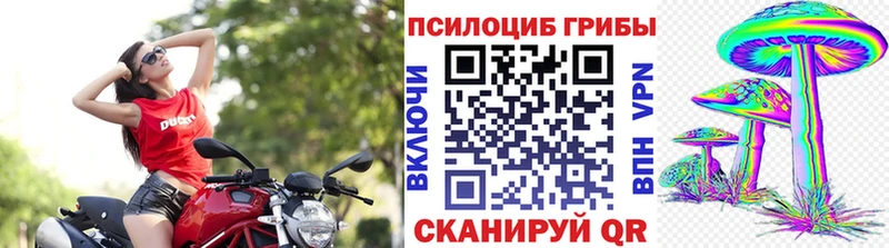 сайты даркнета какой сайт купить закладку Кировград Псилоцибиновые грибы GOLDEN TEACHER