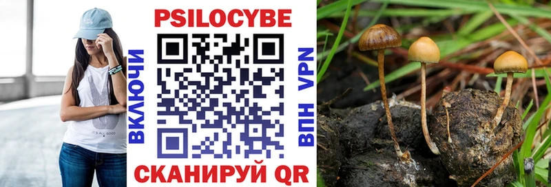 Галлюциногенные грибы Psilocybe Кировград