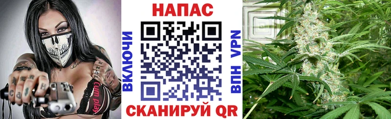Шишки марихуана план где купить наркоту Кировград